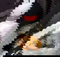 Lil' Orbit - Lismore Accommodation