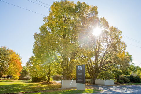 Brown Brothers Milawa Vineyard - Lismore Accommodation 0