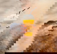 Joe and the Juice - Elizabeth Bay - Lismore Accommodation