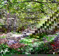 Naked Apple Cider - Lismore Accommodation