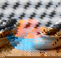 The Yiros Shop - Newmarket - Lismore Accommodation