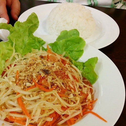 Thai Sensation - Lismore Accommodation 0