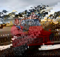 The Shiraz Republic - Lismore Accommodation