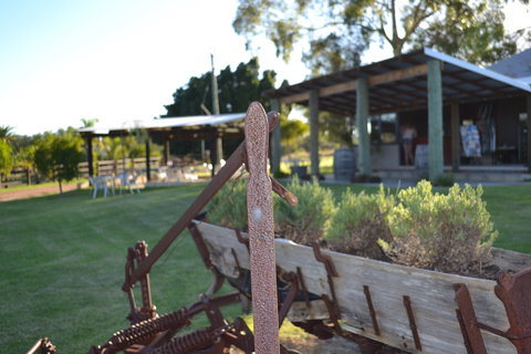 Ugly Duckling Wines - Lismore Accommodation 0