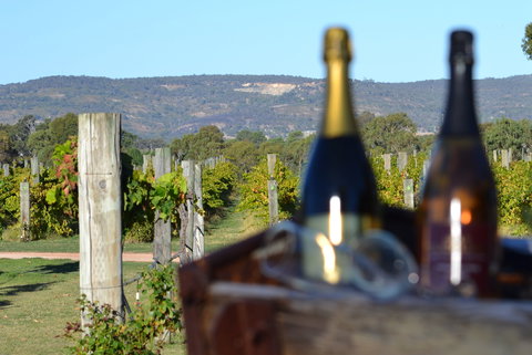 Ugly Duckling Wines - Lismore Accommodation 1