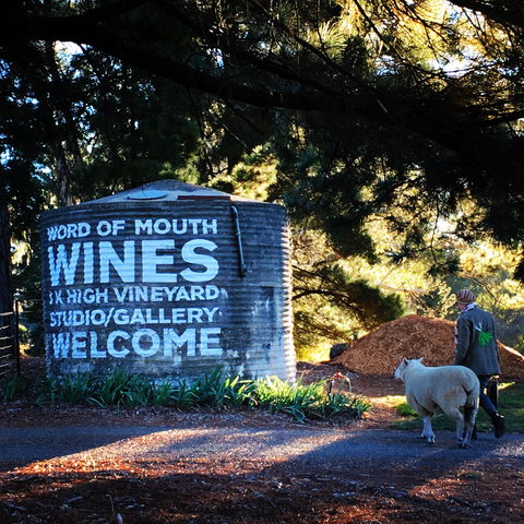 Word Of Mouth Wines - Lismore Accommodation 1