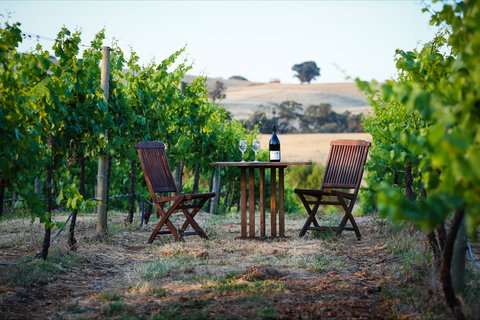 Indigo Vineyard - Lismore Accommodation 1