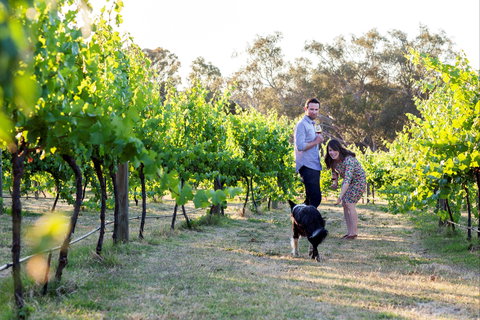 Indigo Vineyard - Lismore Accommodation 2