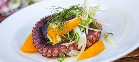 O Bar & Restaurant - Lismore Accommodation 3