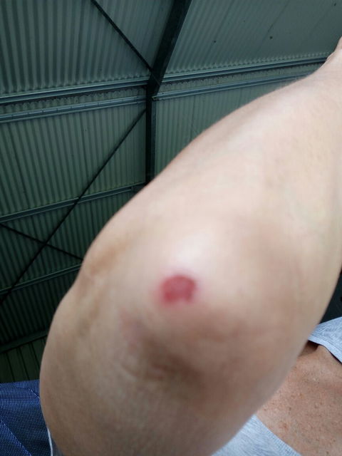 Bruno's Bne - Lismore Accommodation 2