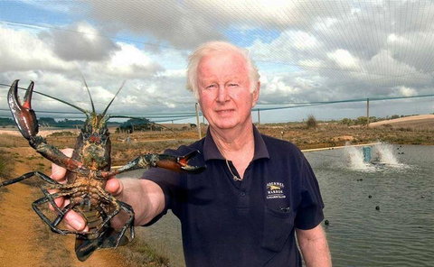 Marron Cafe - Lismore Accommodation 14