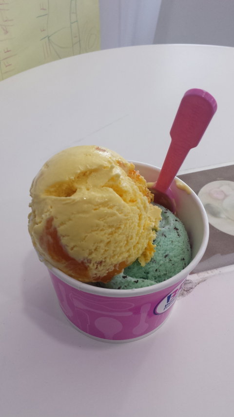 Baskin Robbins - Lismore Accommodation 2
