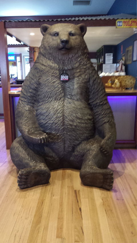 Hogs Breath Cafe - Lismore Accommodation 2