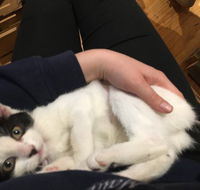 MeowMe Cafe - Lismore Accommodation
