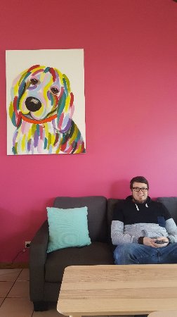 Fat Beagle Coffee Shop - Lismore Accommodation 0