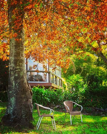 The Woods Ravensbourne - Lismore Accommodation 0