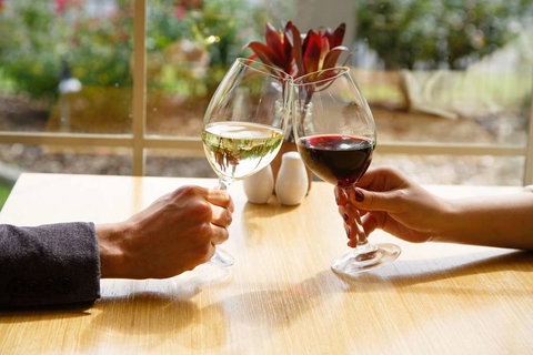 Best Western Plus Hovell Tree Inn - Lismore Accommodation 9