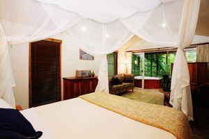 Daintree Eco Lodge & Spa - Lismore Accommodation 1