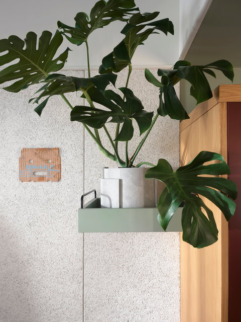 ACE Hotel Sydney - Lismore Accommodation 0