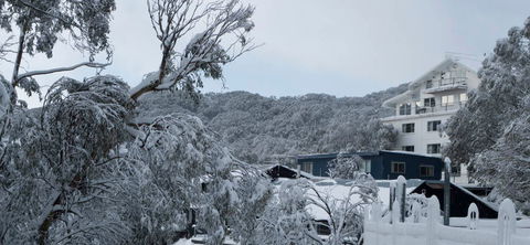 Attunga Alpine Lodge - Lismore Accommodation 0