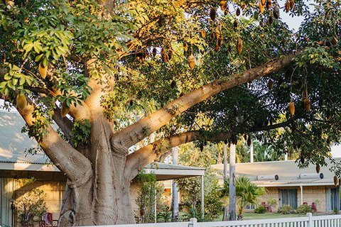 Kimberley Grande Resort & Conf Ctr - Lismore Accommodation 0