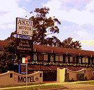 Golden Chain Ascot Motor Inn - Lismore Accommodation