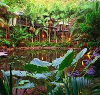 Daintree Eco Lodge  Spa - Lismore Accommodation
