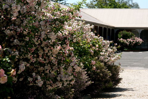 Wine Village Motor Inn - Lismore Accommodation 0