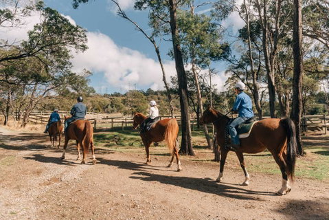 Country Club Tasmania - Lismore Accommodation 0