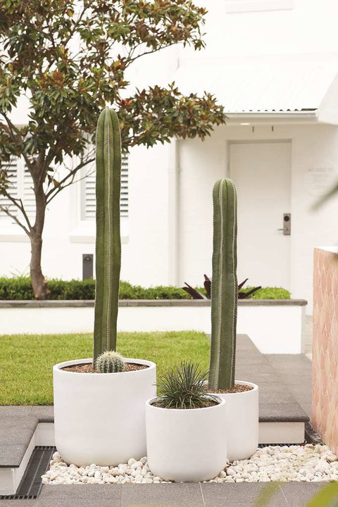 Adina Apartment Hotel Chippendale - Lismore Accommodation 0