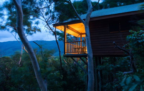 Thala Beach Nature Reserve - Lismore Accommodation 0