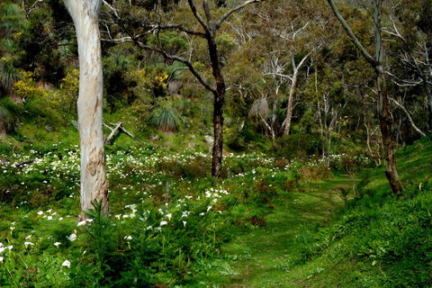 Lure Bed And Breakfast - Lismore Accommodation 17