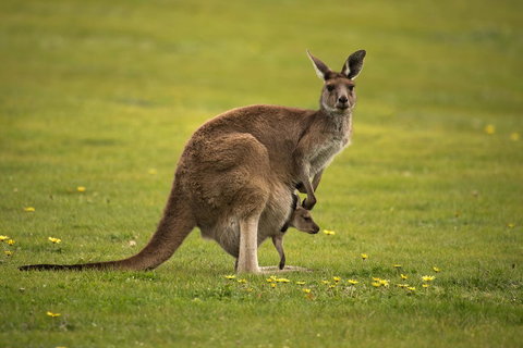 Lure Bed And Breakfast - Lismore Accommodation 20