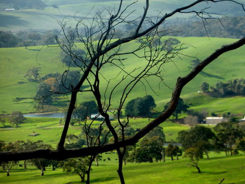 Lure Bed And Breakfast - Lismore Accommodation 21