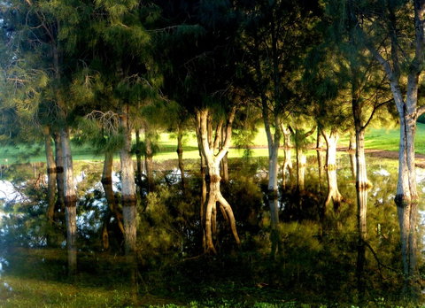 Lure Bed And Breakfast - Lismore Accommodation 18