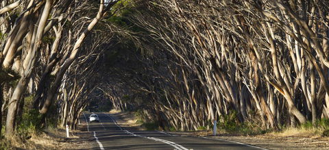 Mercure Kangaroo Island Lodge - Lismore Accommodation 40