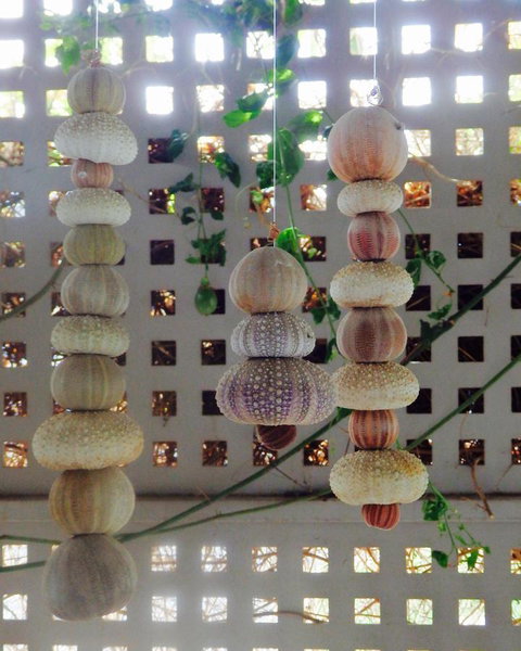 Driftwood On Dover - Lismore Accommodation 11