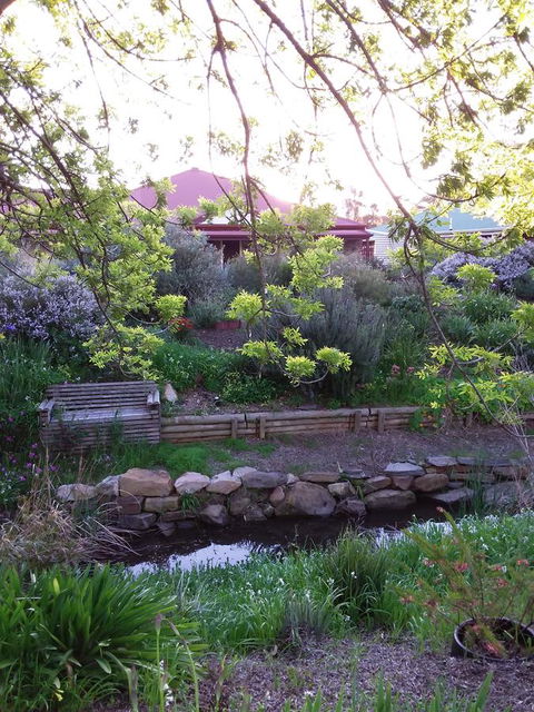 Frog Song At Willunga - Lismore Accommodation 0