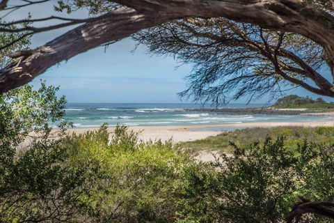 BIG4 Tasman Holiday Parks - Racecourse Beach - Lismore Accommodation 7