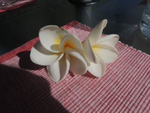 Glenelg - Marina Retreat - Lismore Accommodation 15