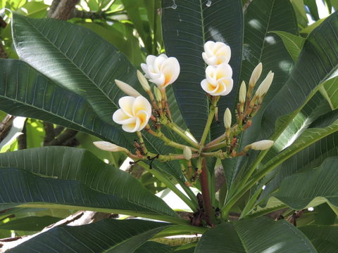 Glenelg - Marina Retreat - Lismore Accommodation 28