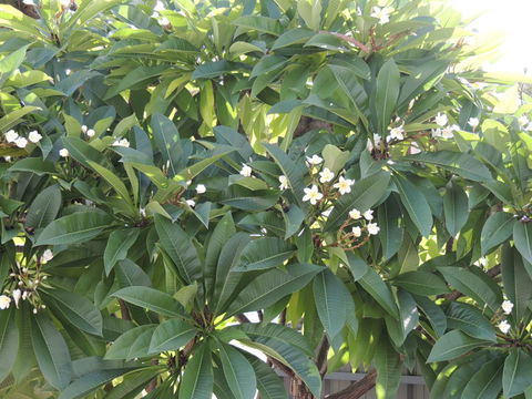 Glenelg - Marina Retreat - Lismore Accommodation 36