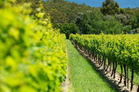 The Other House - Lismore Accommodation 2