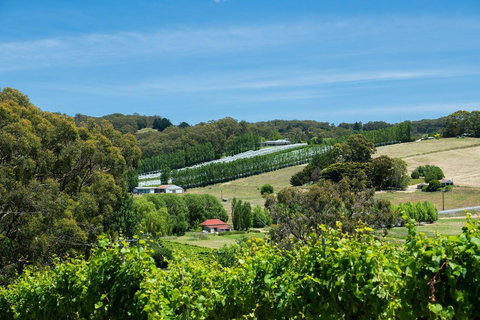 The Other House - Lismore Accommodation 3