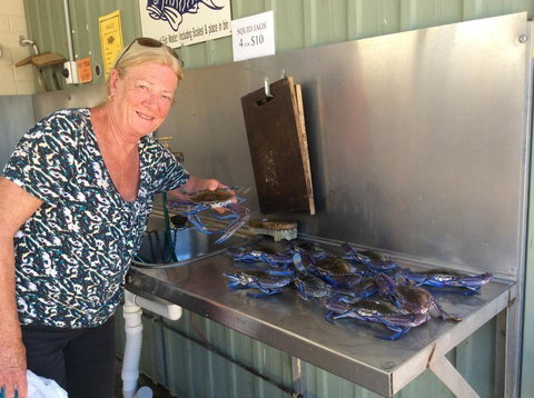 Ceduna Foreshore Caravan Park - Lismore Accommodation 28