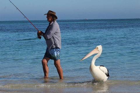 Ceduna Foreshore Caravan Park - Lismore Accommodation 21