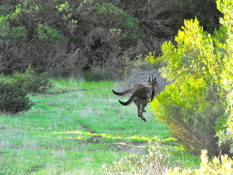 A Dune Escape - Lismore Accommodation 25