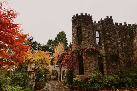 The Manor Basket Range - Lismore Accommodation 15