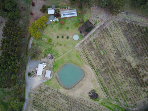 STUDIO ECHUNGA Adelaide Hills - Lismore Accommodation 22