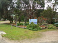 Casuarina Coastal Units